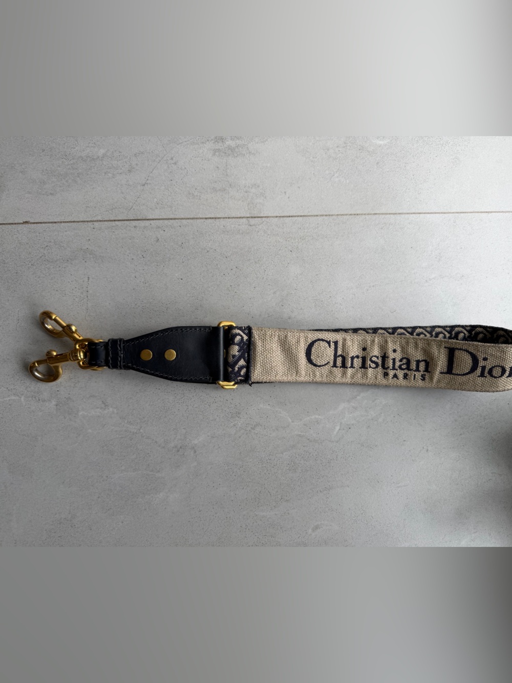 Dior Saddle Shoulder Bag in Taupe with Navy Logo Strap - Picture 11 of 14